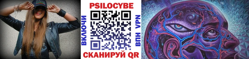 Псилоцибиновые грибы Psilocybe купить Майкоп