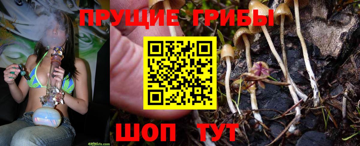 Галлюциногенные грибы прущие грибы Майкоп